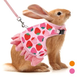 Rabbit Harness and Leash for Walking Escape Proof - Cute Carrot Pattern Mesh Breathable Bunny Vest Harness Outdoor Camping Hiking Training - Also Suit for Ferret Kitten Puppy Small Animals