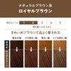 Liese Prettia Bubble Color Hair Dye