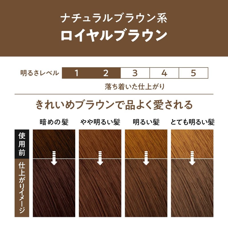 Liese Prettia Bubble Color Hair Dye