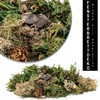 com-four® 6x Christmas decorations in a bag with cones, twigs,