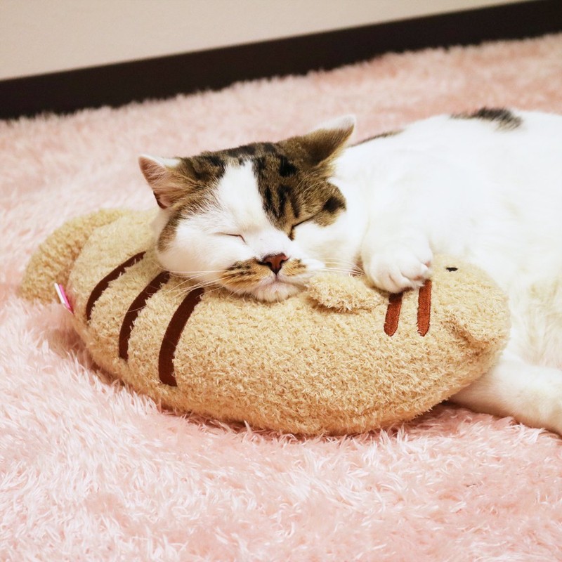 kyatexi-man (cattyman) Chin on Cat Pillow Action nyan