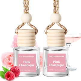 Car Air Freshener Diffuser, Hanging Car Diffuser and Essential Oil Diffuser for Car Vent, Car Air Freshener Cute, Car Essentials for Women Men, 2 Pack Car Diffusers Perfume Set, Made in USA
