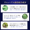 Mongo Ryu Shampoo EX Vol. 17 Renewal Scalp Shampoo for