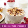 Great Grains Raisins Dates & Pecans Breakfast Cereal, Crunchy Clusters