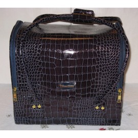 SeneGence NEW SeneGence Luxury Tiered Makeup Travel Cosmetic Case Beauty Bag + Products