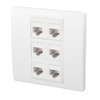 6 Port Cat 6 Ethernet Wall Plate Removable Female to