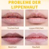 8 Stück Bee Balm Lip Balm - Lippenbalsam Honey Balm