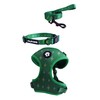 Trendy Paws Small Dog Harness Set (Emerald, Medium)