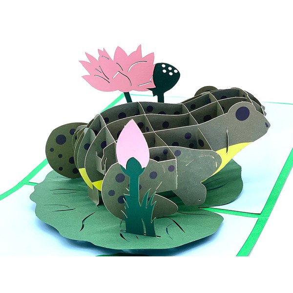 Pop Up Greeting Cards - Unique 3D Frog Greeting Cards