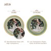 AELS 4x4 Inch Vintage Picture Frame, Elegant Antique Photo Frames