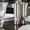 Electric Salt and Pepper Grinder Set by VIVVEA - Stainless