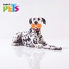 Fancy Pets Juguete Pesa para Meter Premios para Perros Tamaño