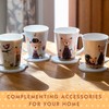 Coasters Set of 6, Wooden Cat Coasters With Holder for