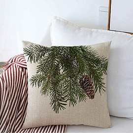 Decorative Throw Pillow Case Evergreen Pinecone Fir Tree Branch Beautiful Lump Winter On White Nature Coniferous Parks Outdoor Farmhouse Linen Pillow Cushion Cover for Couch Sofa Bed 20x20 Inch