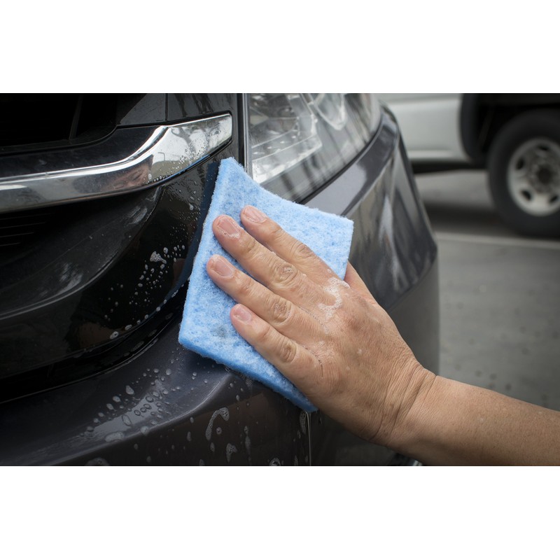 Bugs Out Bug Removing Sponge (6 Pack) with Concentrated Car