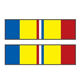 Combat Action Ribbon Decal (Medium)