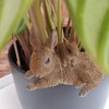 Vivid Arts Plant-Pals (Mother/Baby Rabbit)