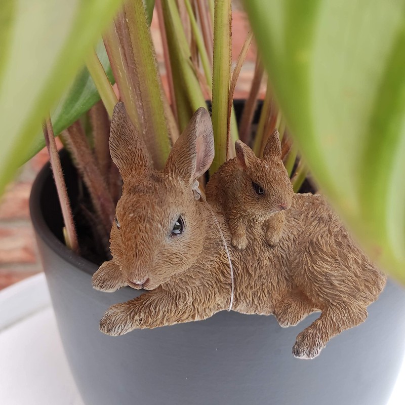 Vivid Arts Plant-Pals (Mother/Baby Rabbit)