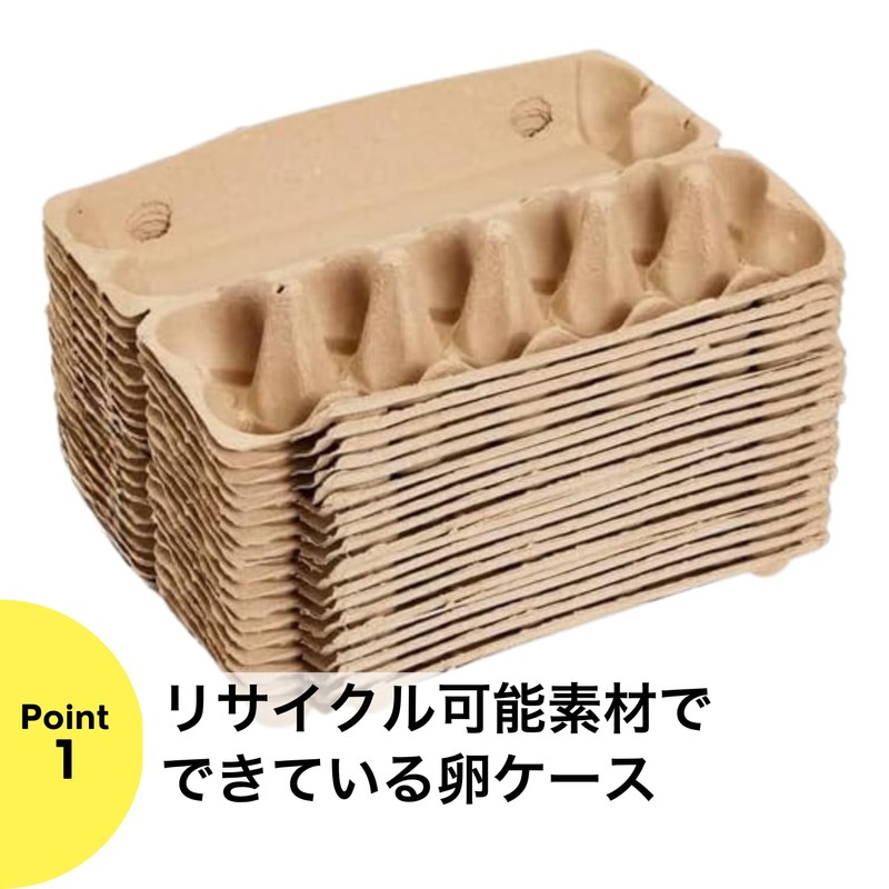 Egg Case Egg Case with Lid Egg Container Refrigerator Storage