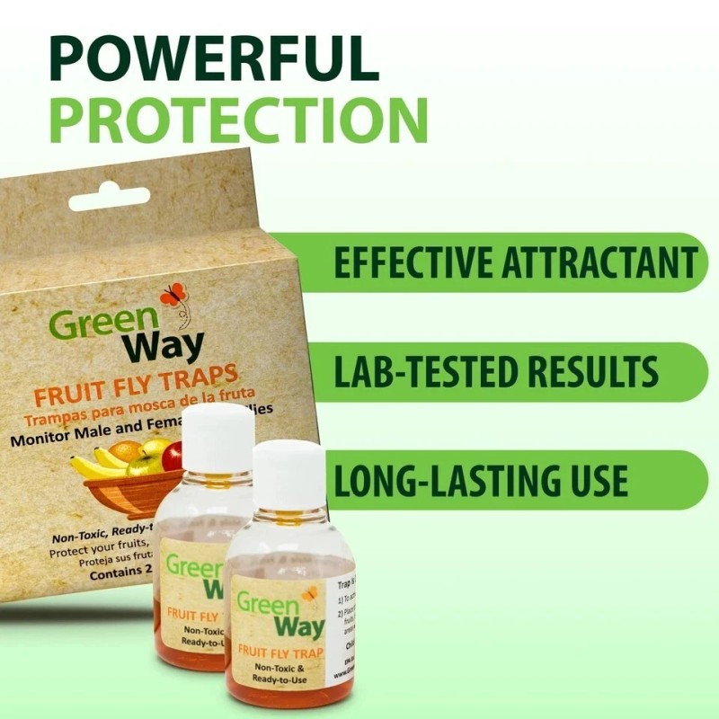 GreenWay Fruit Fly Trap Non-Toxic, Ready-to-Use, Long-Lasting