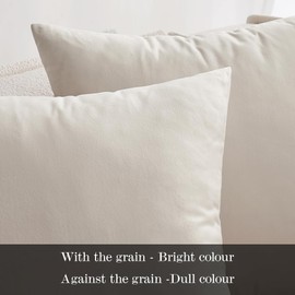Miulee Set of 2 Velvet Cushion Covers, Decorative Cushion Covers for Sofa Cushion, Lumbar Cushion, Throw Pillow, With Zip for the Sofa, Bedroom, Car