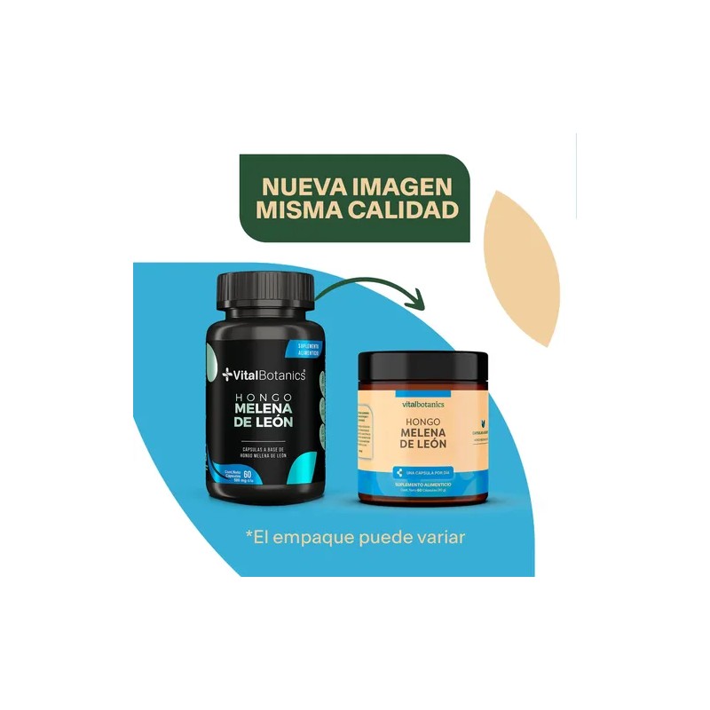 Hongo Melena De Leon 60 Capsulas Suplemento Nootropico Cereb