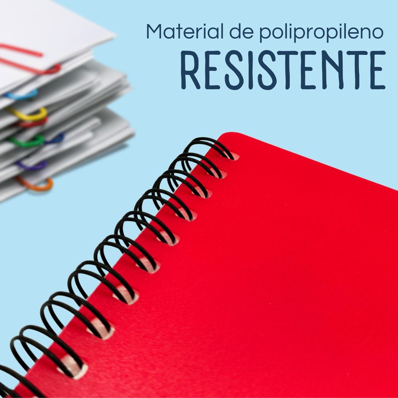 RAYLU PAPER - File Folder with Transparent A4 Plastic Sleeves