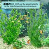 ruileeccl Enhance Your Aquarium with 2-Pack Large 20 inch Aquarium