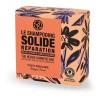 Shampoo Sólido Reparacion 60g