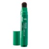 Sastty [For Gray Hair] Rishiri Hair Color Stick (Black)