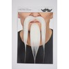Shaolin white beard and moustache