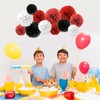 12 PCS Paper Pom Poms, Tissue Paper Pom Poms Flower