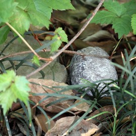 Memeyou Hide a Key Outdoor Waterproof Key Hiders Safe Storage Lock Box For Outside Yard Garden Statues Ornament Indoor Fake Rock Stone Decorative Large Size Design House Spare Holder