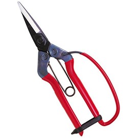 Closest Positive (chikamasa) since Garden Scissor Throwing Straight Blade with Spring Guard Under purasutexikkuko-texingu T-3 600git