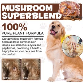 Shuangjia Wild Mushroom Superblend for Lumps & Bumps 4.23 fl.oz, Mushroom Supplements Powder Lipoma Reduction, Immune Support for Dogs & Cats11 Organic Mushroom Complex, Natural Turkey Tail Mushroom for Pets