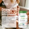 Probiotic Immune Probiotischen Cultures for Healthy Digestion and a smooth