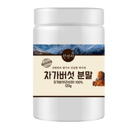 러시아 차가버섯 분말 120g Russian Chaga Mushroom Powder 120g