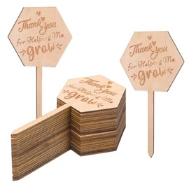 30Pcs Let Love Grow Hexagon Wooden Plant Stakes, Watch Me Grow Succulent Tags Baby Shower Favor Label, Garden Marker Sign Wedding Bridal Anniversary, Thanksgiving Potted Plants 2×3.9 in