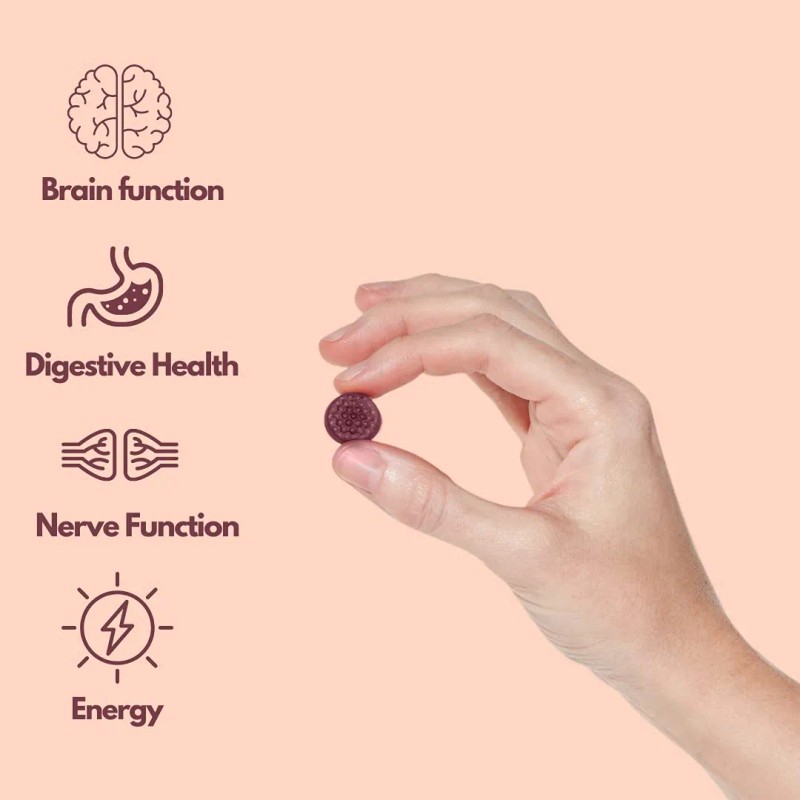 Alfa Vitamins Gomitas Complejo Vitamina B 60 Unidades