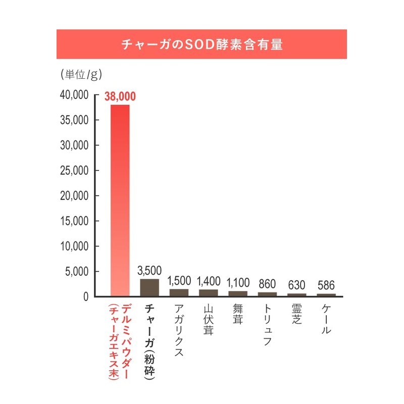 EPORASHE デルミパウダー（20g）チャーガエキス末 カバノアナタケ チャーガ