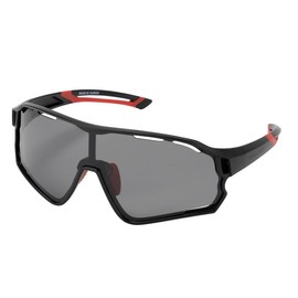Rawlings REW25-03SM-SBJ Baseball Sunglasses, Junior, Smoke