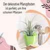PECZEKO Shiny Flower Pot, Plastic Planter, Decorative Pot for Large