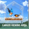 Window Bird Feeder with Strong Suction Cup and Self-Adhesive, Clear