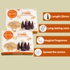 Copal Incense Cones - 60 Pack (10 Cones Each) -