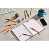 STABILO pointVisco brown pack of 10 - Rollerball