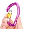Aluminum Alloy 24KN Carabiner D Buckle Spring Clip Keychain Hook