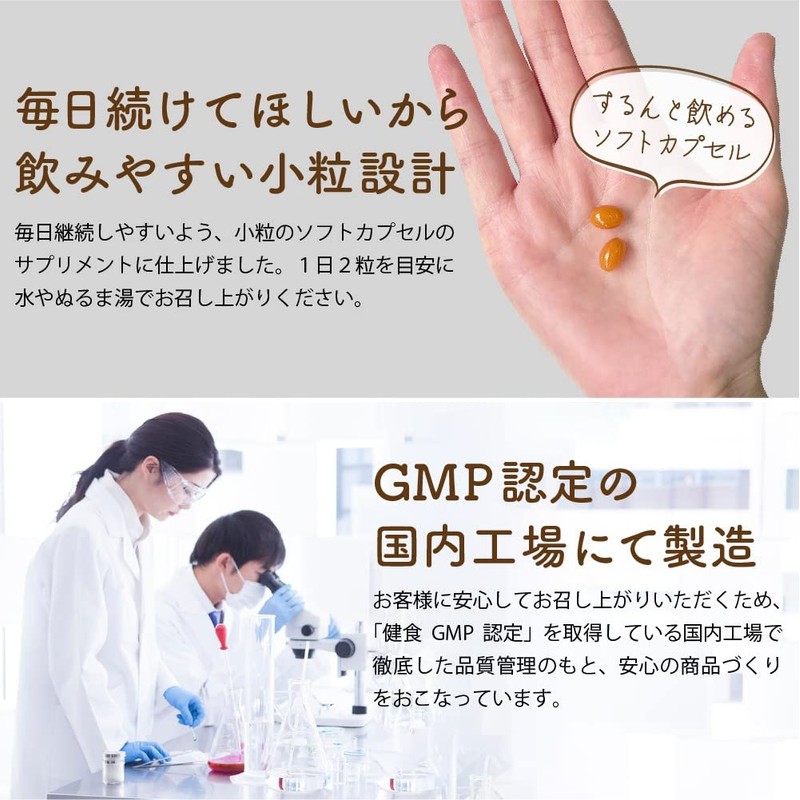 温活 サプリ ひだまりショウガ ぽかぽか成分 配合 ショウガオール レッドチリエキス ヒハツ抽出成分 (約６ヶ月分（360粒）)