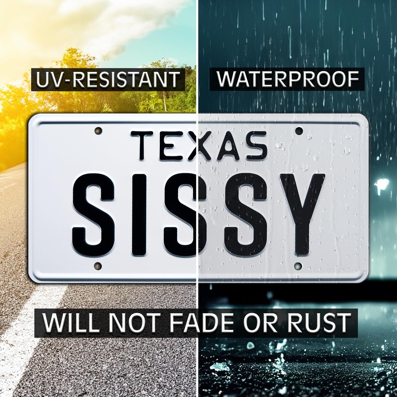 Urban Cowboy | Bud + Sissy | Metal Stamped License