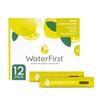 Zuccari WaterFirst Limone, Menta, Fiori di Sambuco, 12 Stick-Pack da