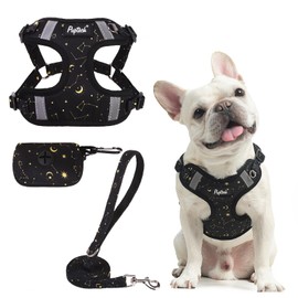 PUPTECK No Pull Dog Harness and Leash Set Reflective No Choke Step in Puppy Halter for XS Small and Medium Sized Dogs, Black, Printed Fabric, L
